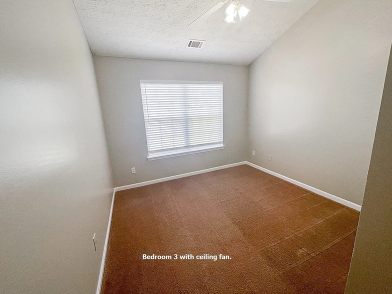 Building Photo - 5357 Paramount View Way