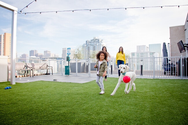 vici-luxury-apartments-little-italy-san-diego-dog-area - Vici Luxury Rentals - Little Italy