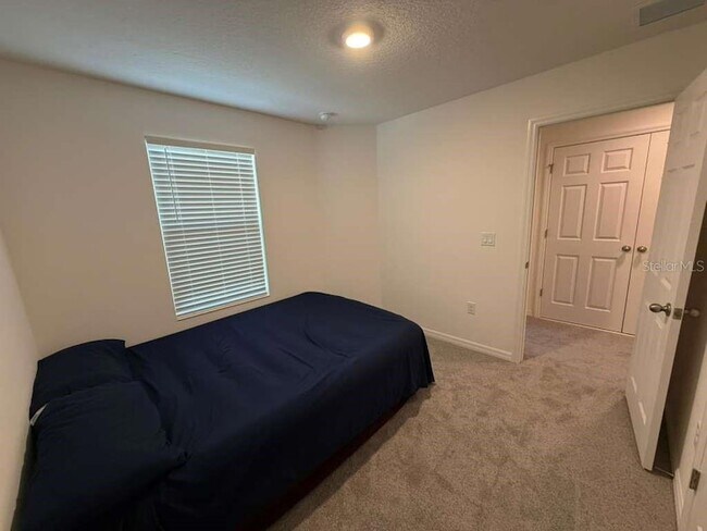 Building Photo - 1239 Sand Torch Cir