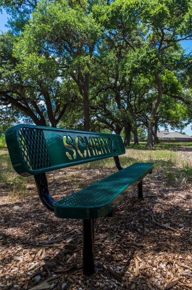 Building Photo - Bright & Airy Home on Curling Post