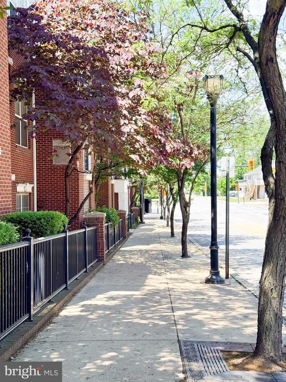 Building Photo - 350 W Elm St