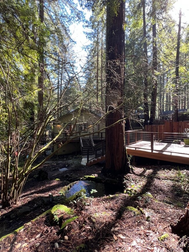 Building Photo - 2,280 Square Foot modern Three bedroom two bath multi  level home, large yard, decks, cathedral c...