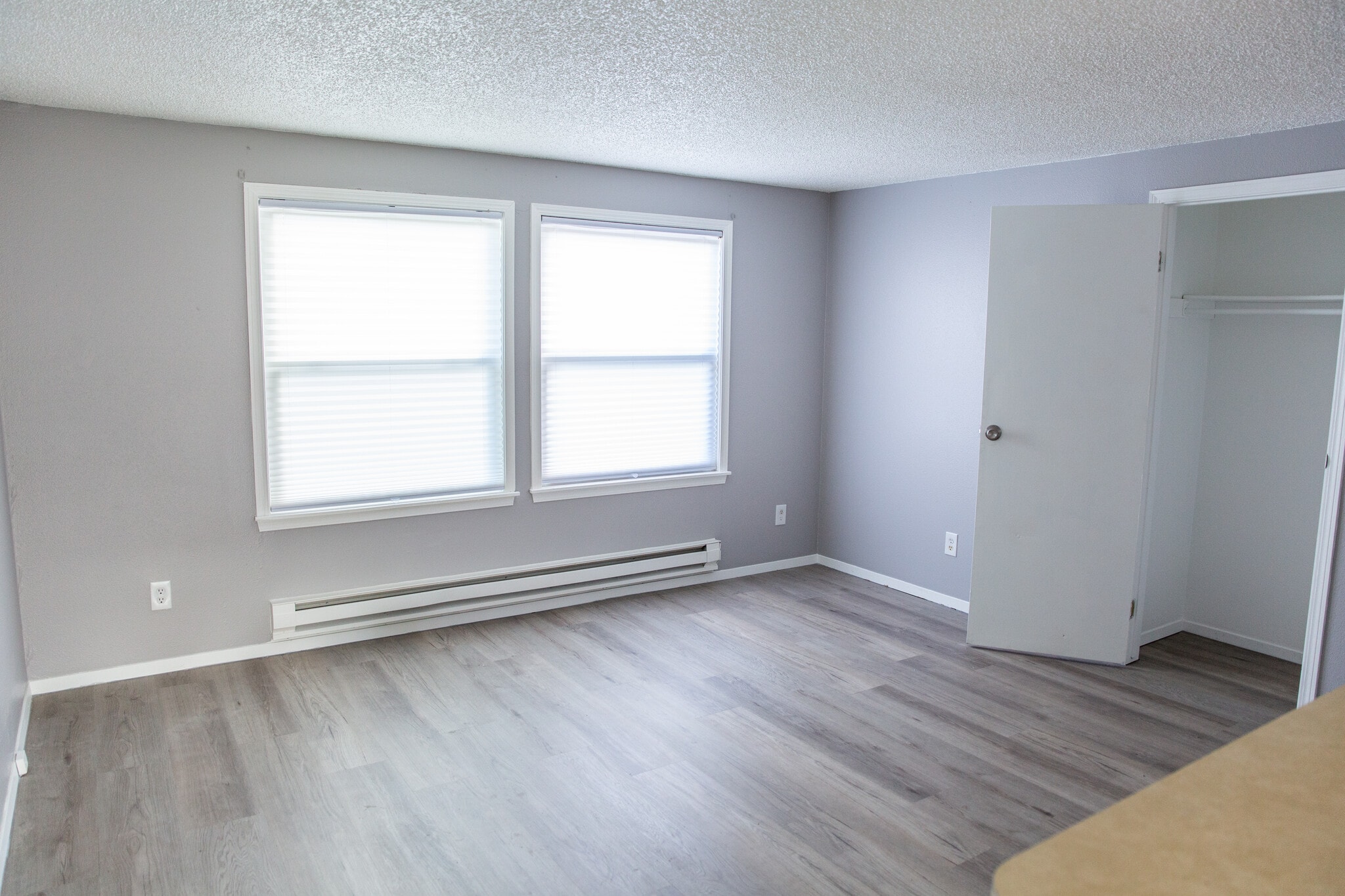 Huge family room with 2 big windows. Lots of natural light - 3595 S King St