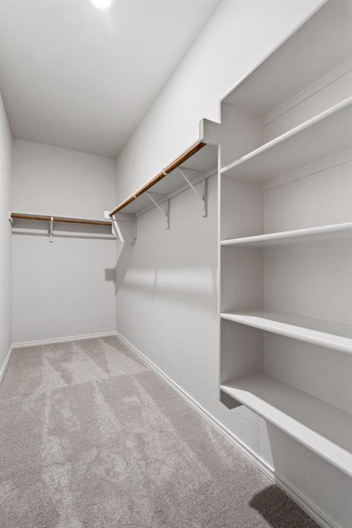 Building Photo - 258 Sweetleaf Dr