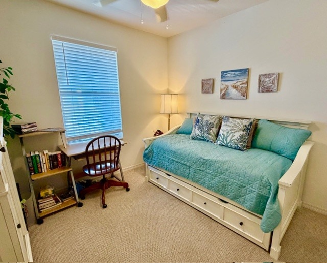 Building Photo - 519 Roma Ct