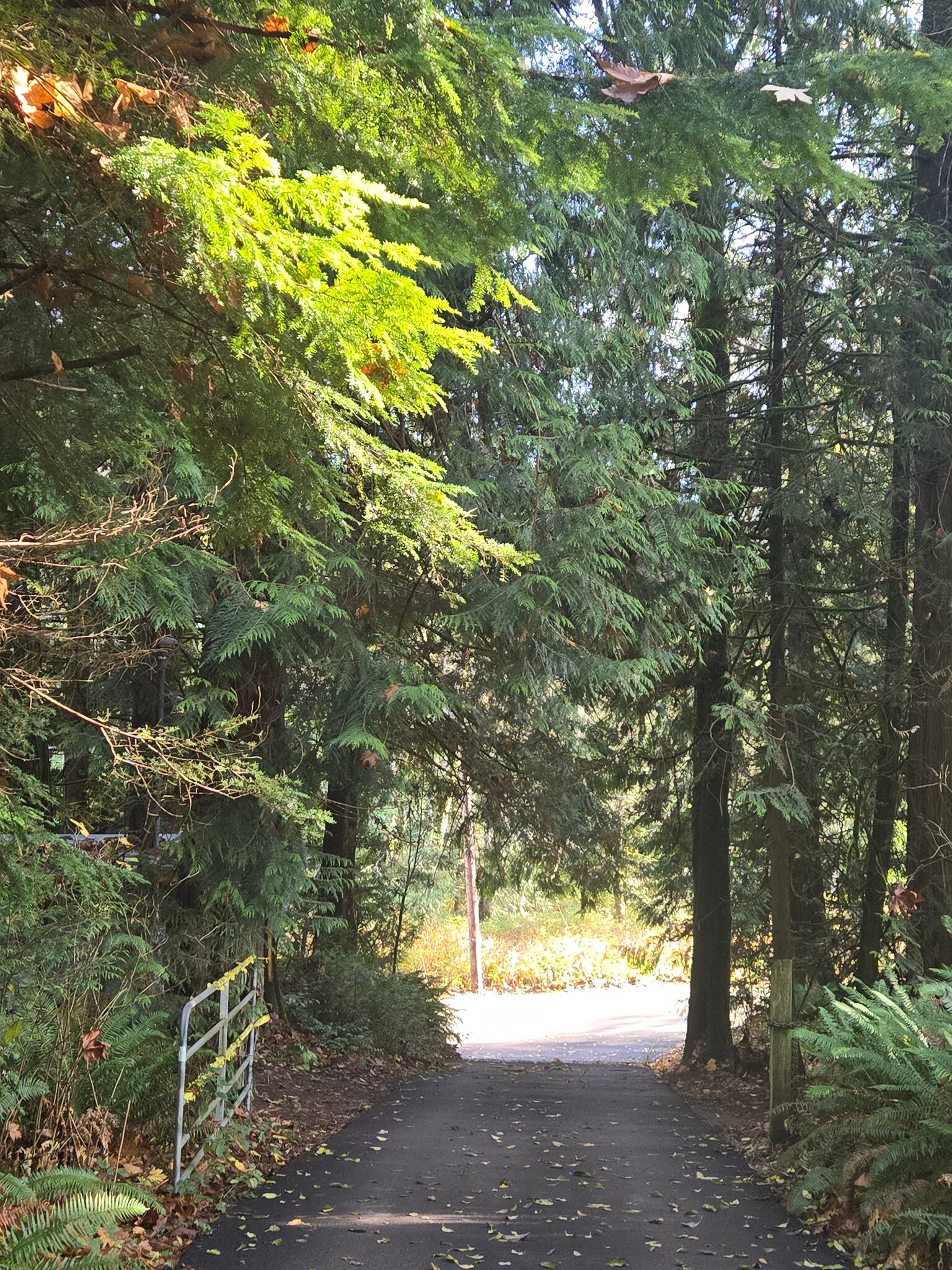 Driveway - 26147 Port Gamble Rd NE