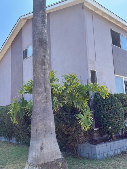 Primary Photo - 704 W 105th St