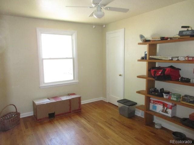 Building Photo - 985 S Dale Ct