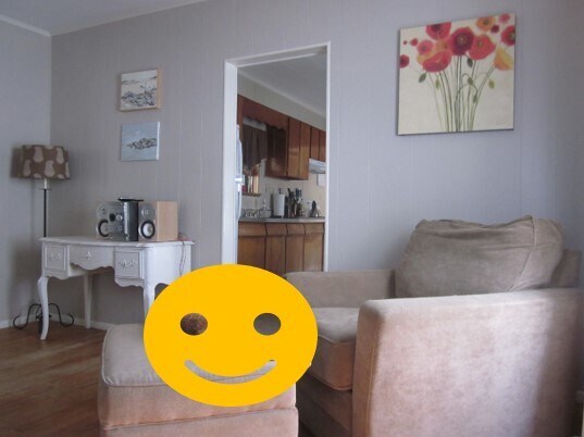 Living Room - Previous Tenancy - 91 Sagamore St