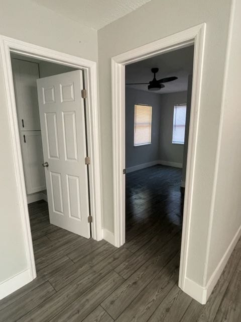 Building Photo - 1550 Michigan Ave