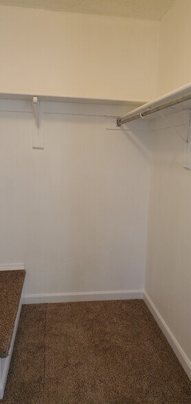 Building Photo - 1310 Firefly Cir