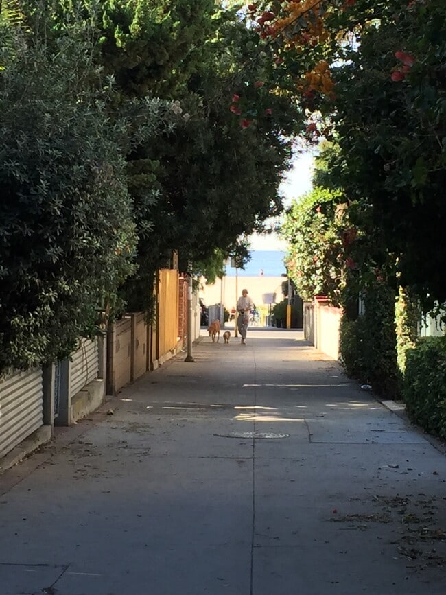 Walk Street from outside gate - 33 Paloma Ave