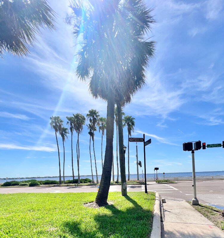 Building Photo - 2109 Bayshore Blvd