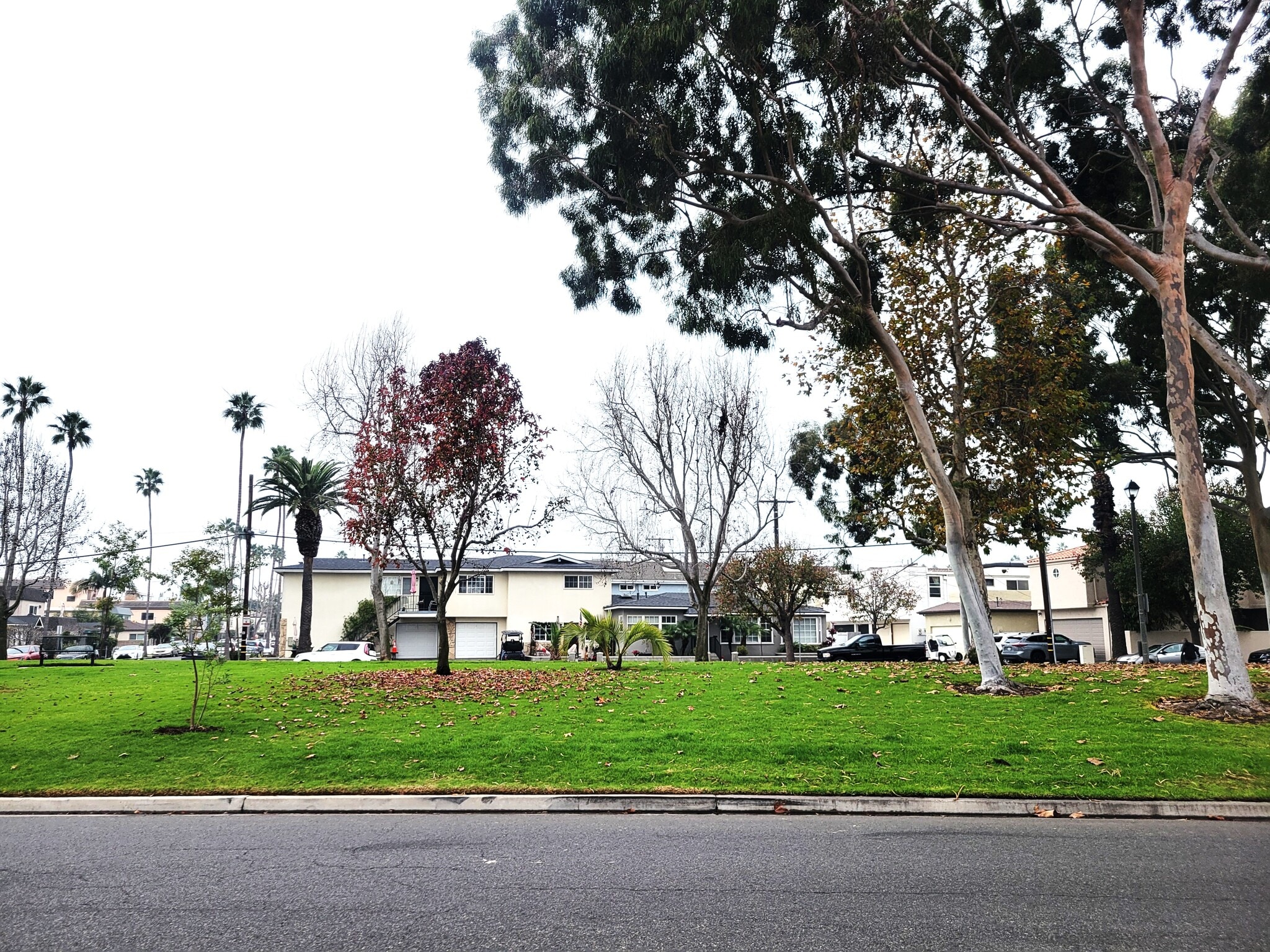 Building Photo - 211 13th St