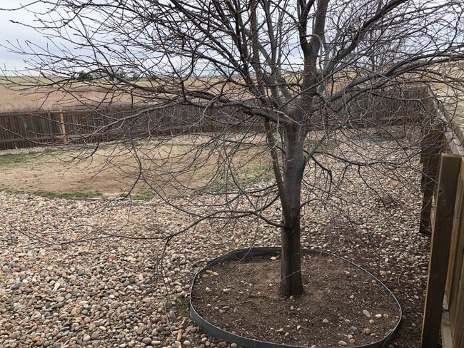 Building Photo - Duplex Town Home Rancher One Level Living