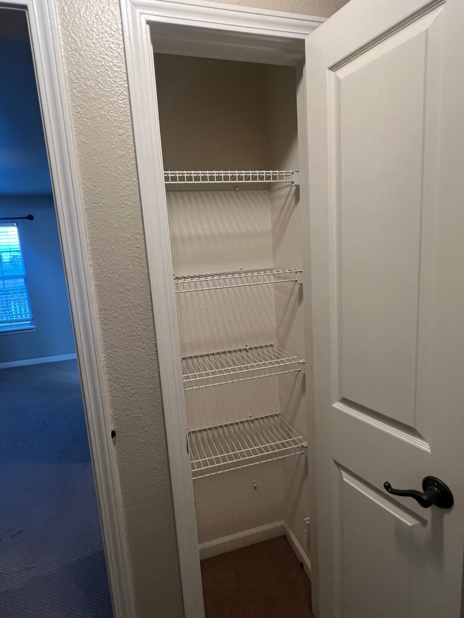 Linen closet - 227 Lakemoore St