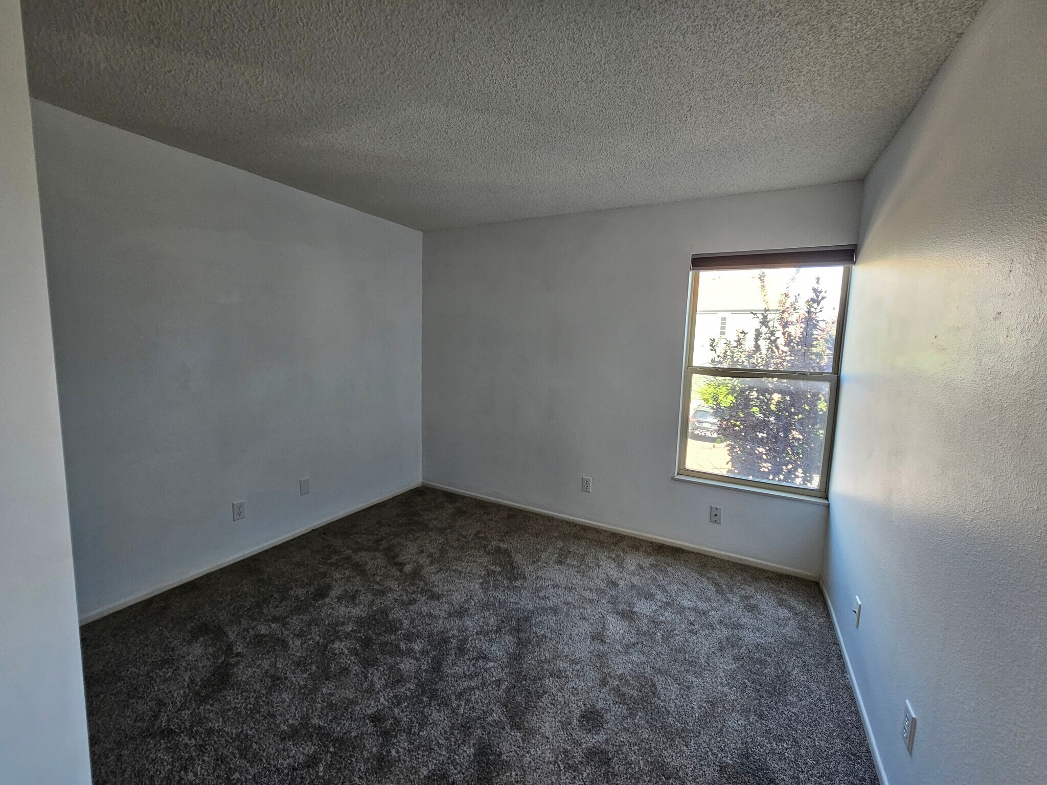 Building Photo - 144 W Rockrimmon Blvd