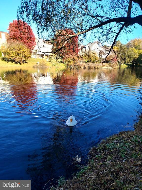 Building Photo - 10628 Sawdust Cir