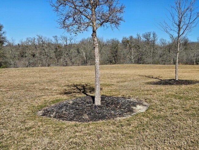 Building Photo - 14007 Tordillo Dr