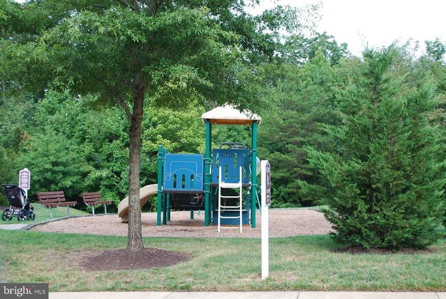 Building Photo - 805 Thicket Ct