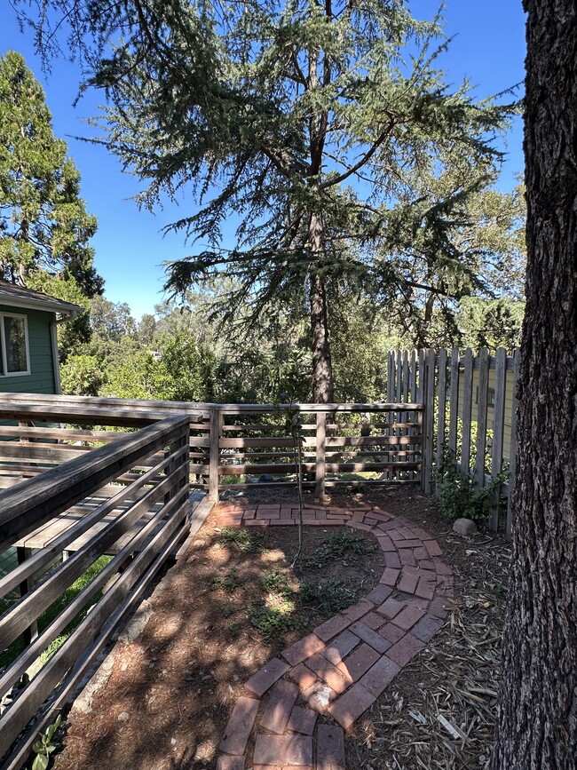 Front yard, fenced. - 19876 Observation Dr