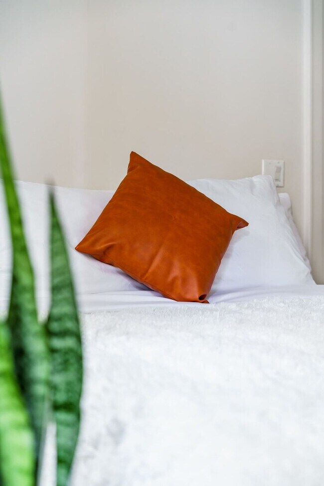 Building Photo - 33 Lundy St