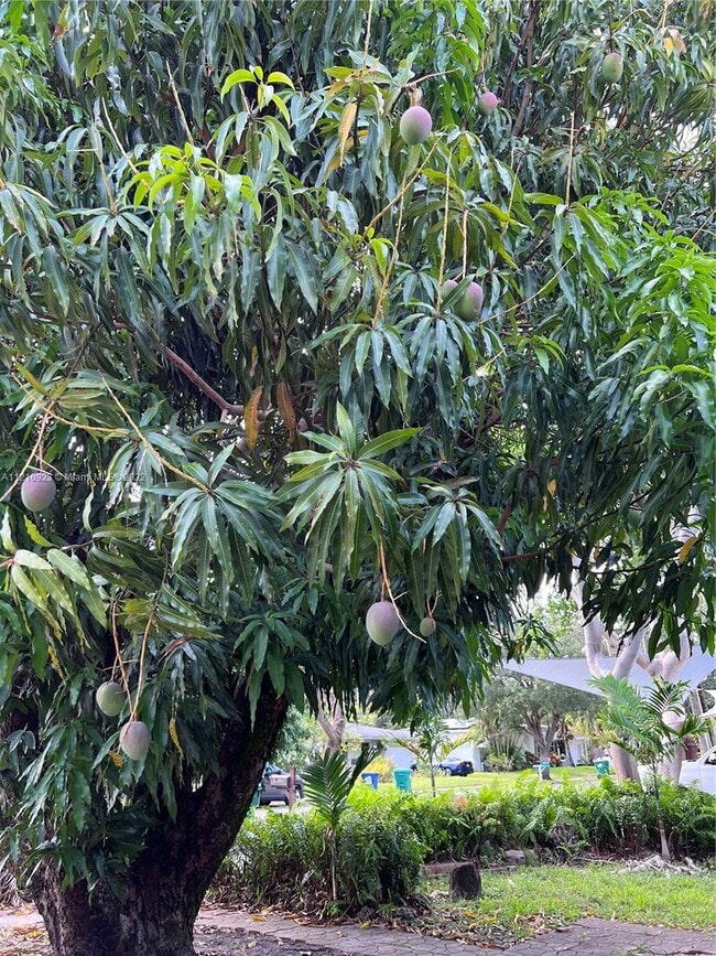 Building Photo - 14731 NE 9th Ave