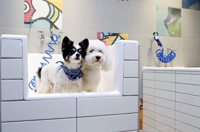 Building Photo - 222 E Jefferson St