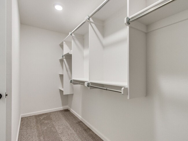 Building Photo - Beautiful New Home!