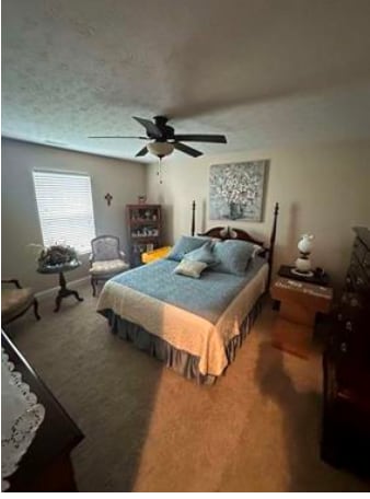 Building Photo - 516 Persimmon Ln