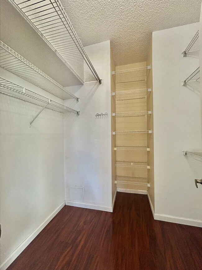 Building Photo - Waterfront Pool Home in Waterford Lakes