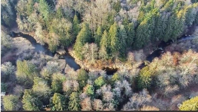 Building Photo - Charming 2BR House in Spanaway