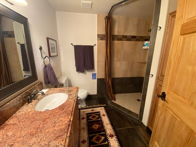Downstairs Bathroom - 588 Lake View Cir W