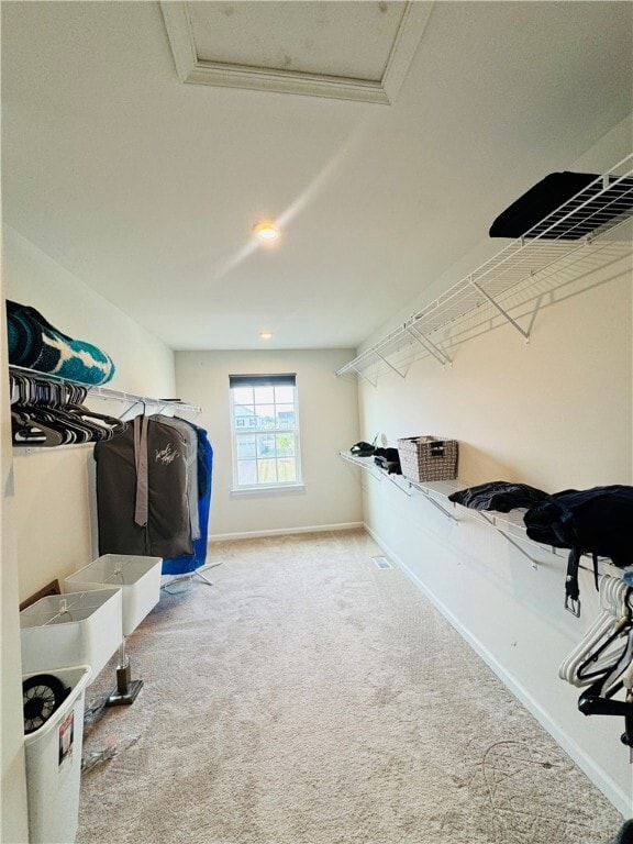 Building Photo - 6016 Ivory Dr