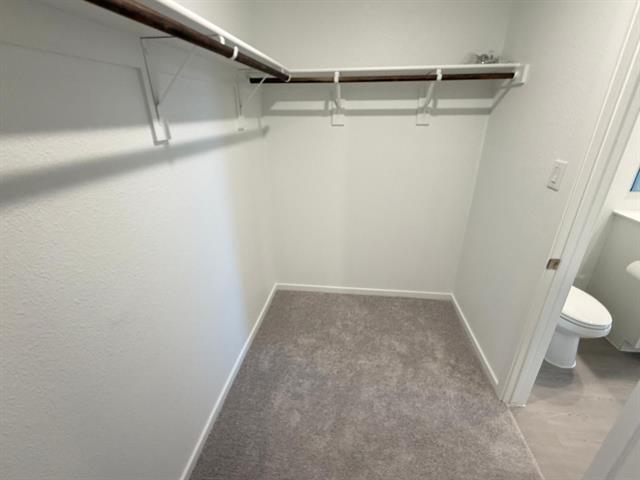 Building Photo - 440 Backcountry Dr