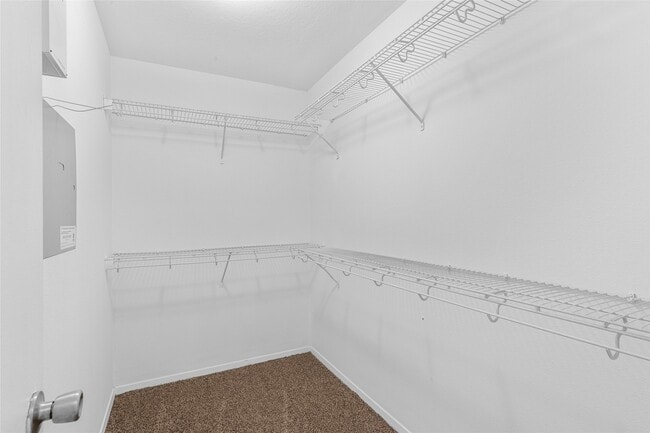 Building Photo - 3311 Jib Ct