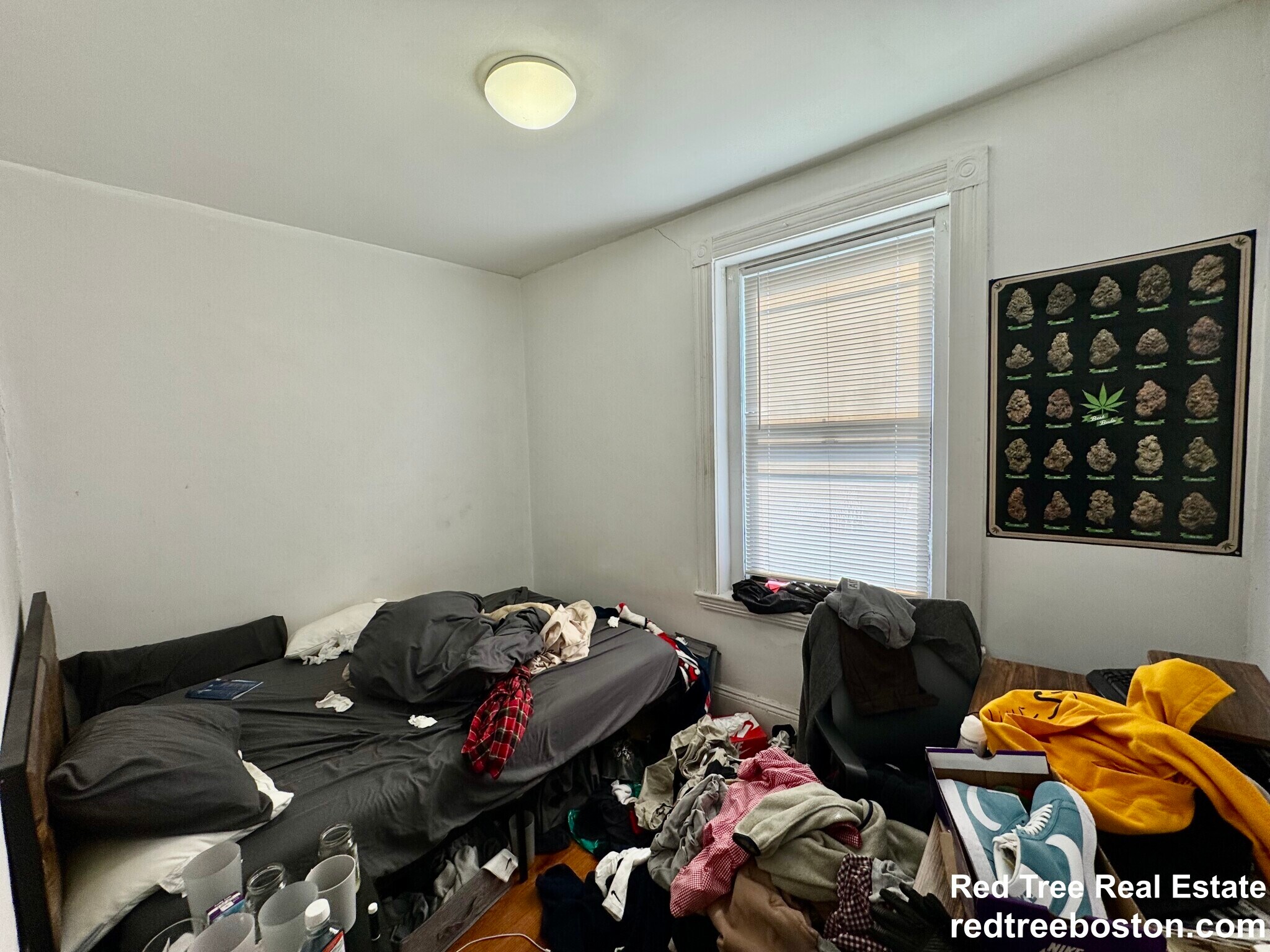 Building Photo - 872 Huntington Ave