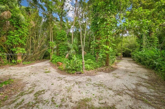 Building Photo - 671 Live Oak Ln