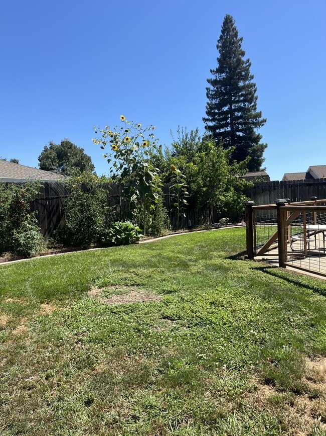 Building Photo - 1741 Tamarack Dr