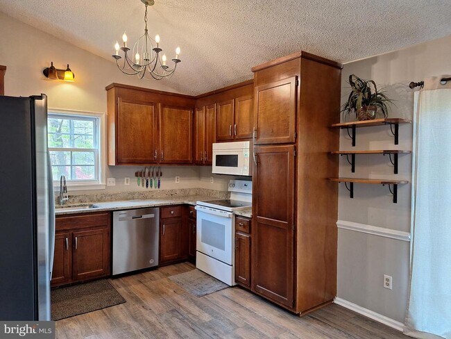 Building Photo - 12 Albano Ct