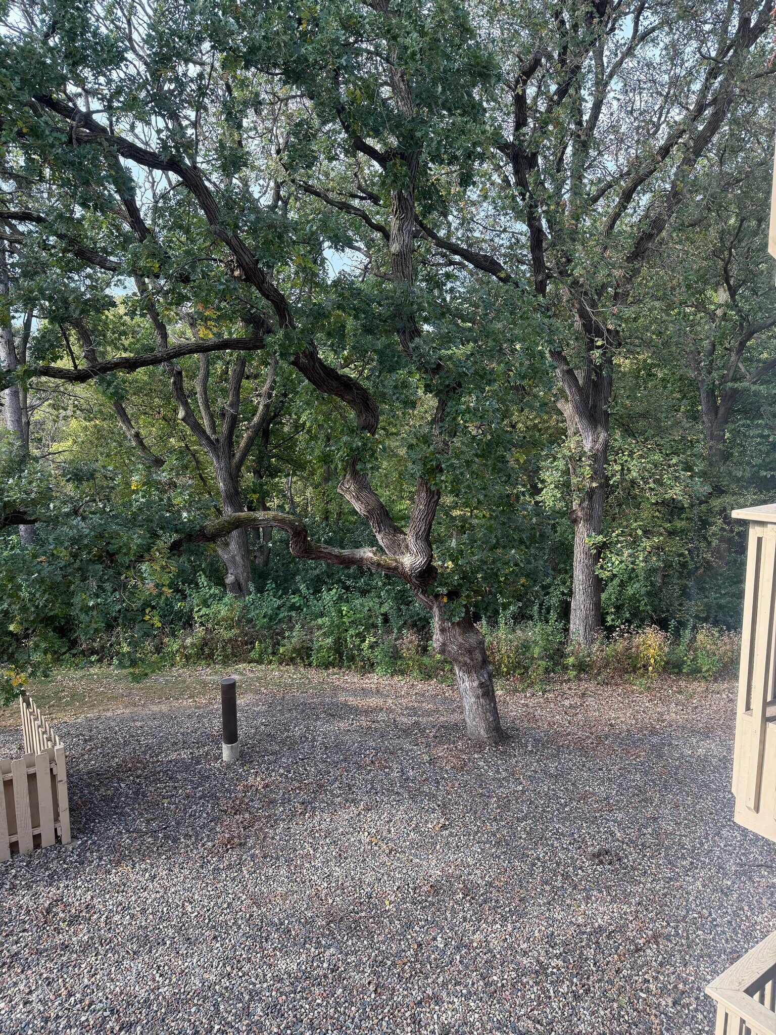 View from balcony - 9400 Old Cedar Ave S