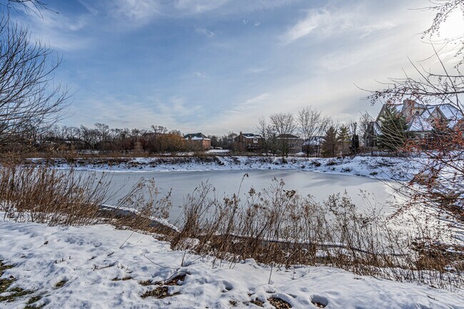 Building Photo - 7242 Greywall Ct