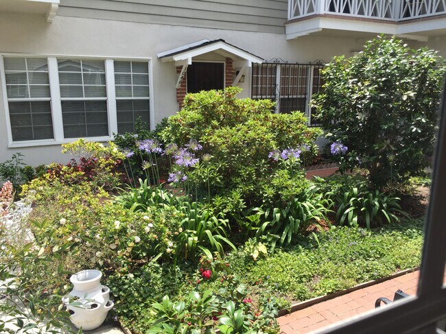 View from living room windows - 1054 Masselin Ave