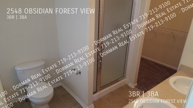 Building Photo - 2548 Obsidian Forest Vw