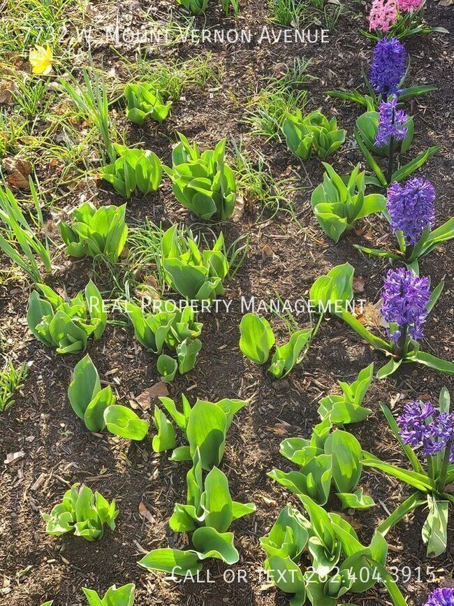 Building Photo - 7732 W Mt Vernon Ave