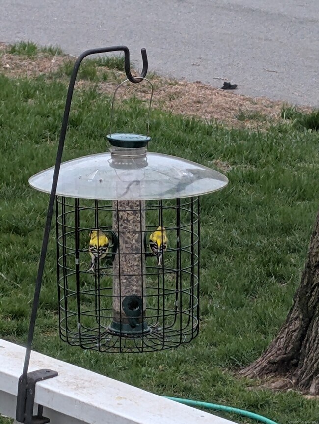 Building Photo - 24 Warren Ave