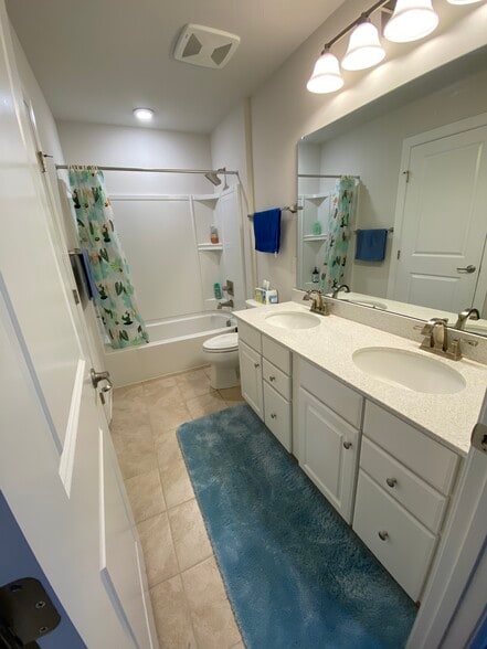 Hall Bathroom - 1709 Stevensan Dr