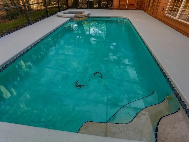 Building Photo - Amelia Island Home w pool