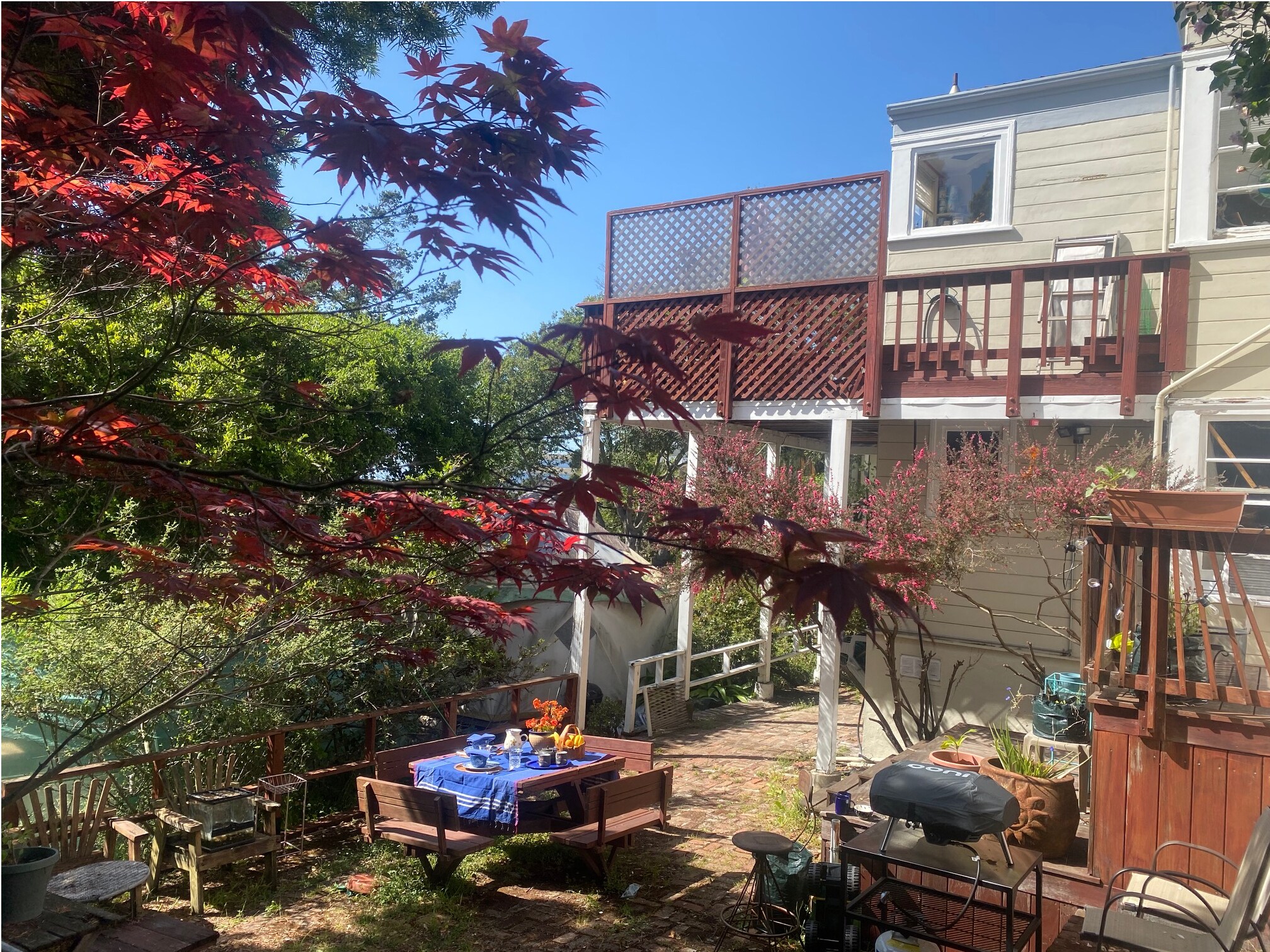 Garden and patio - 2317 Carquinez Ave