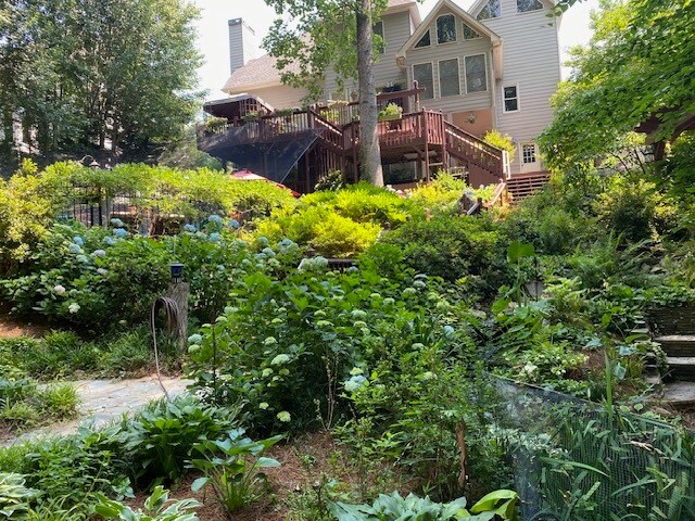 View from backyard - 7006 E Hills Way